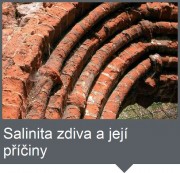 Salinita zdiva a její příčiny